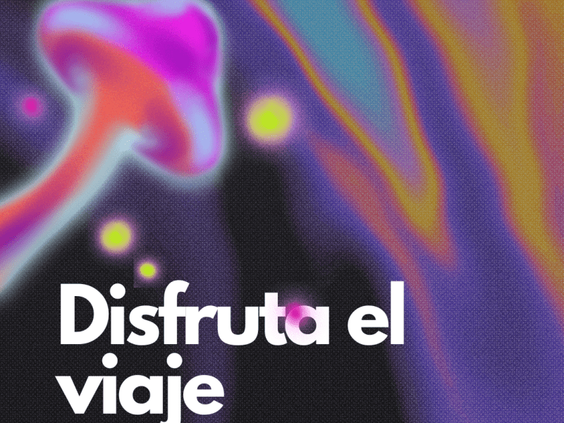 Explorando las microdosis de psilocibina (Pte&nbsp;1)