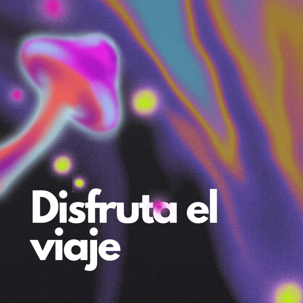 Explorando las microdosis de psilocibina (Pte&nbsp;1)